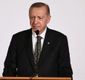 Yunan gazeteciden Cumhurbaşkanı Erdoğan'a 'Bir gece ansızın gelebiliriz' sorusu