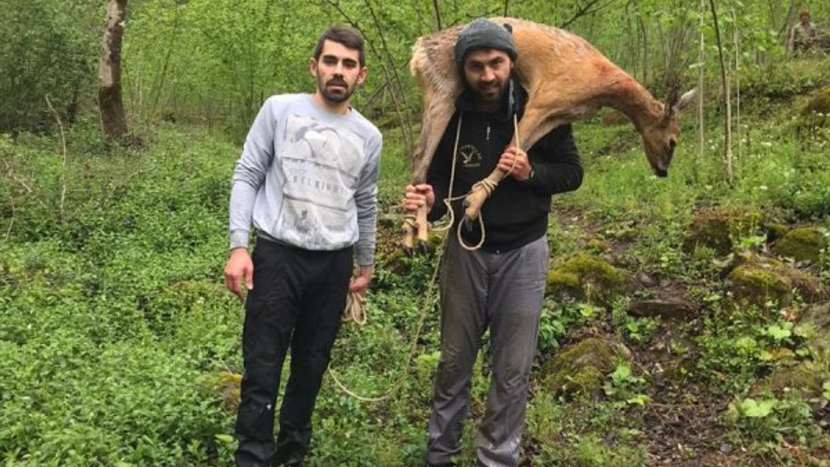 Ormanda yaralı bulunan karaca tedavi altına alındı