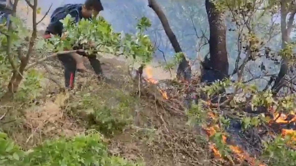 Hakkari deki orman yangınında 3 üncü gün Kısmen kontrol altında