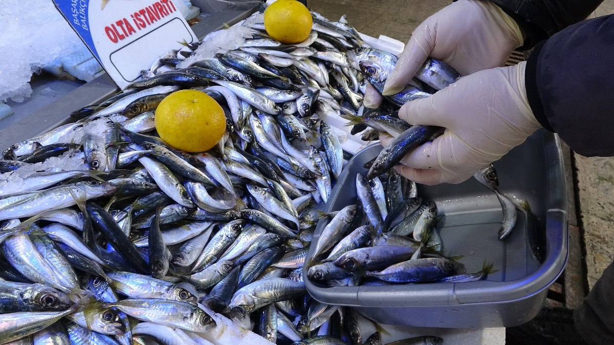 Ordu da olumsuz hava şartları sonrası avlanma azaldı balık fiyatları arttı