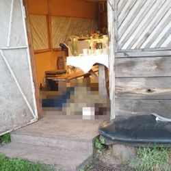 Ukrayna'da tartıştığı 7 kişiyi öldürdü