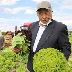 Ankara'da 74 yaşındaki adam, çalışma azmiyle örnek oluyor