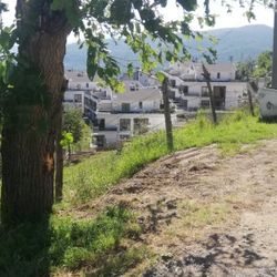 Kocaeli'de kamyonla ağaç arasına sıkışan işçi vefat etti