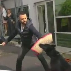 Her Şey Dahil'de Alişan'ın köpekle imtihanı