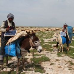 Şanlıurfa'da eşek sırtında elektrik üretimi