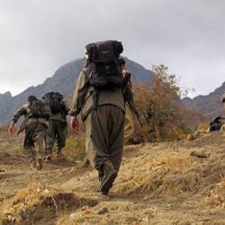 Şırnak'ta 8 terörist teslim oldu