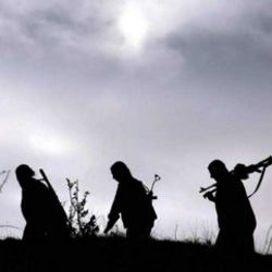 Bitlis’te bir terörist etkisiz hale getirildi