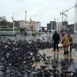 Sokaklarda yalnız kalan hayvanlar unutulmadı