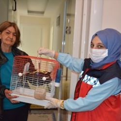Yaşlı teyzenin muhabbet kuşu isteğini belediye karşıladı
