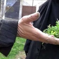 Filistin Kampındaki mülteciler yokluktan ot yiyor
