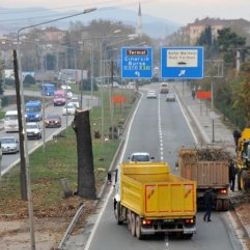 Yalova'da kesilen ağaçlar ihtiyaç sahiplerine dağıtılacak