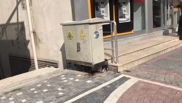 Sakaryada Trafoya Giren Kedi Elektrik Kesintisine Neden Oldu