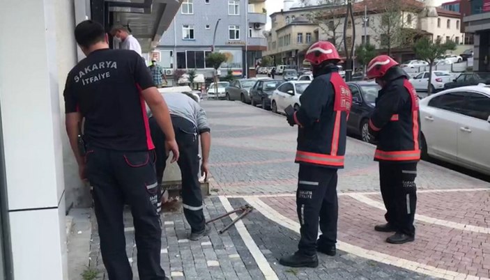 Sakaryada Trafoya Giren Kedi Elektrik Kesintisine Neden Oldu