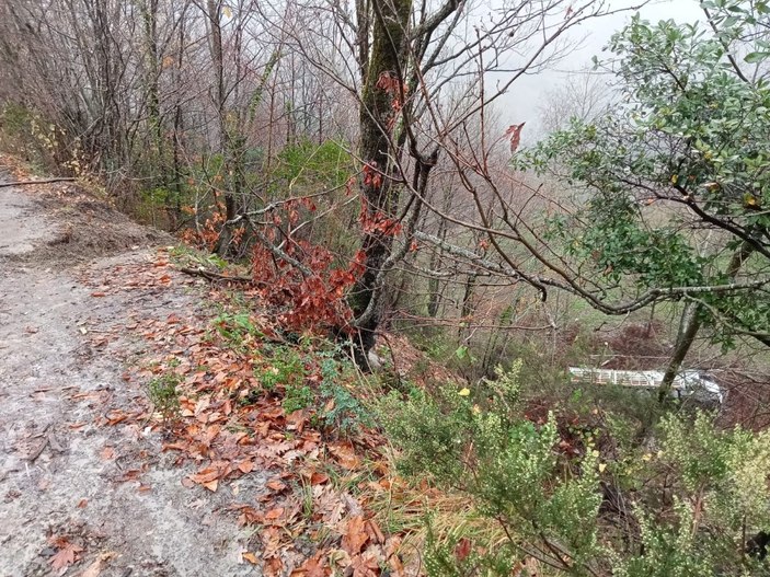 Kastamonu Da Kontrolden Kan Kamyon Metrelerce S R Klendi