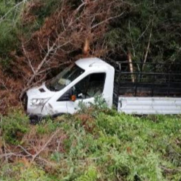 Mersin'de kamyonet ormanlık alana düştü: 3 yaralı