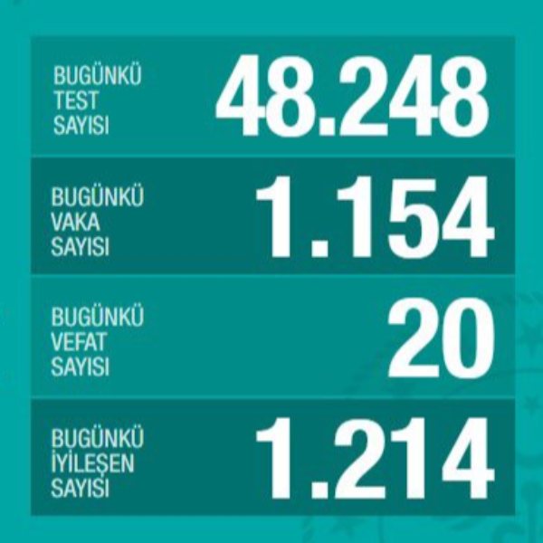 Koronavirüs salgınında Türkiye'de son durum tablosu