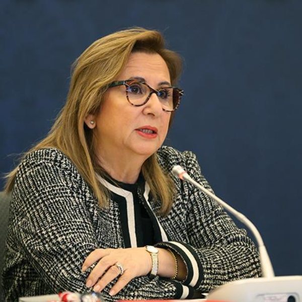 İngiltere İhracat Kredi Kuruluşuna garanti desteği