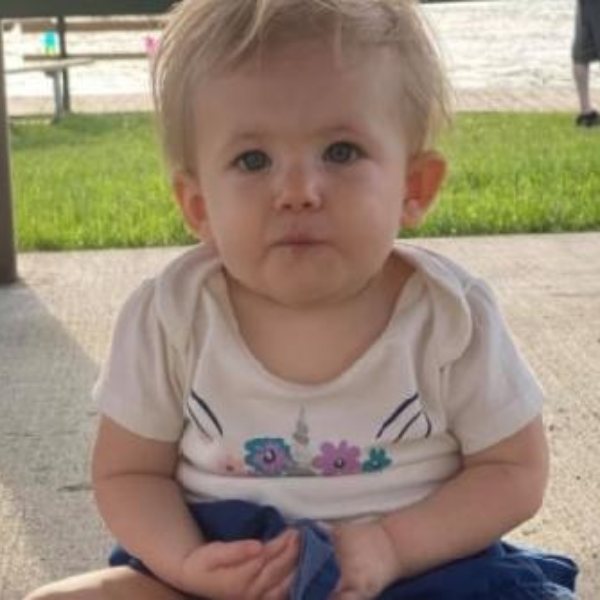 ABD'de, iki pitbull 17 aylık bebeği öldürdü