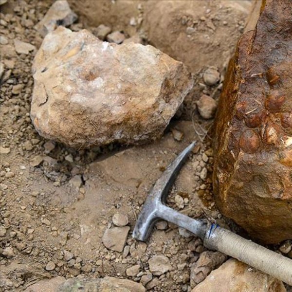 Iğdır'daki fosillerle ilgili bilimsel çalışma başlatıldı