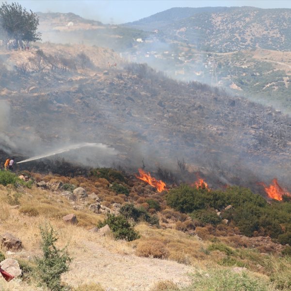 İzmir'de iki bölgede orman yangını