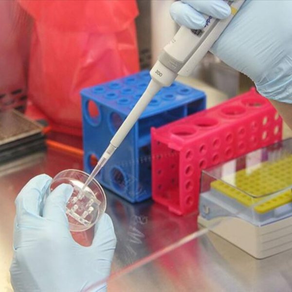 PCR testleri, ruhsatlı tüm kuruluşlarda yapılabilecek