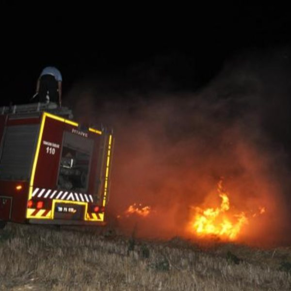 Tekirdağ'da yıldırım düşen ağaçlık alanda yangın