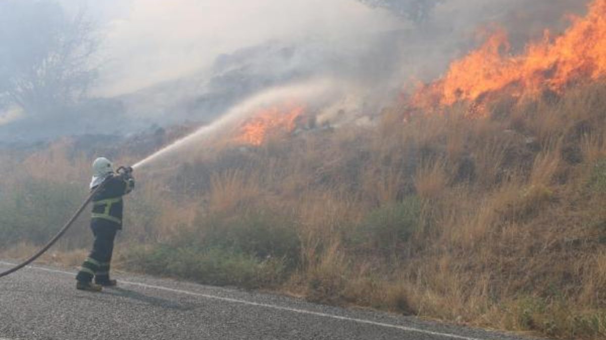 Aydın'da Priene Antik Kenti yakınında yangın