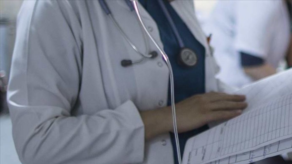 Samsun'da doktor, kediye kıyma veren eşini darbetti