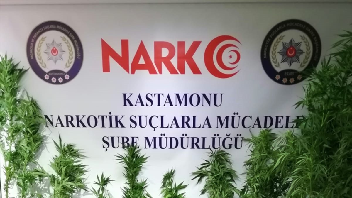 Kastamonu'da uyuşturucu operasyonu: 2 kişi tutuklandı