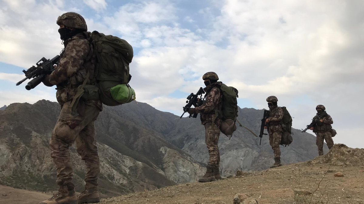 Bitlis'te Turuncu ve Gri Kategori'deki teröristler etkisiz hale getirildi