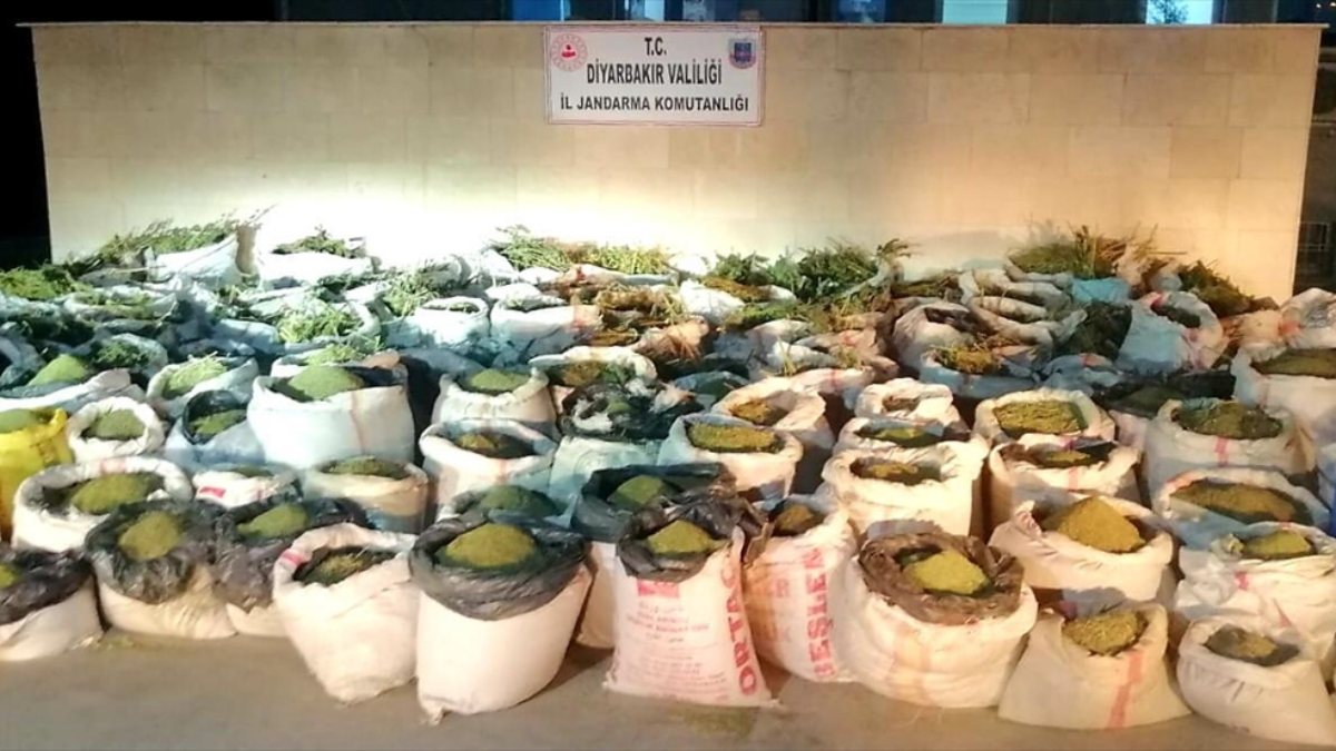 Diyabakır'da 5 ton 81 kilogram esrar, 14 milyon 169 bin 150 kök kenevir ele geçirildi