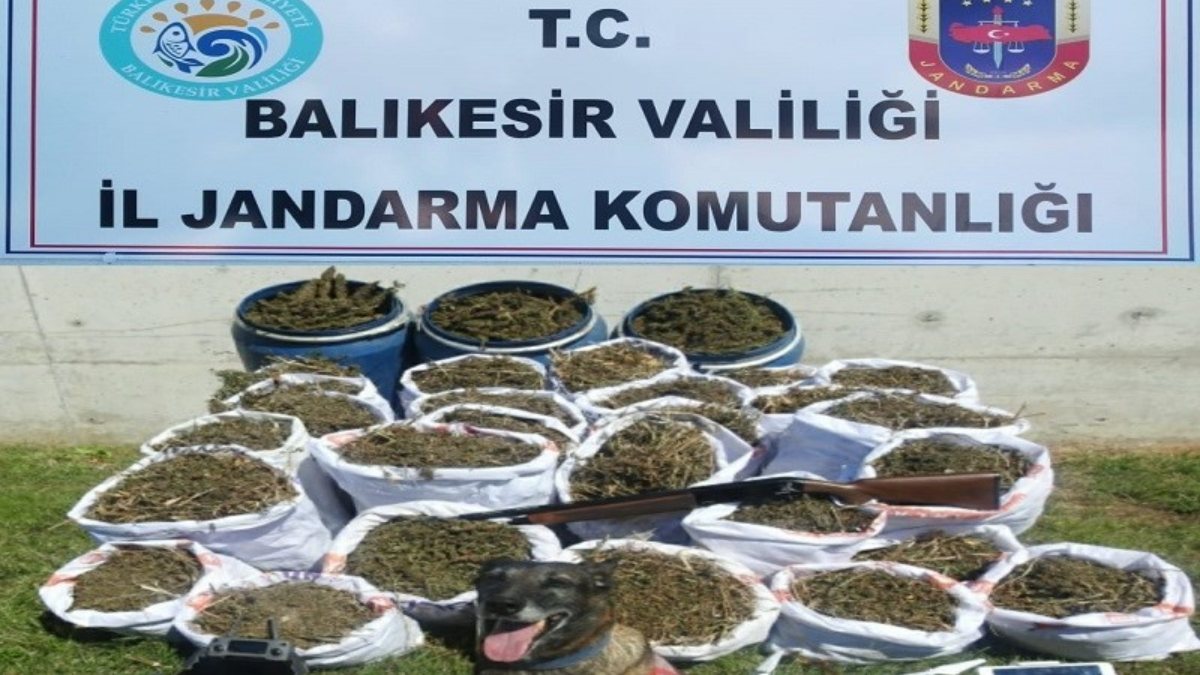 Balıkesir'de 318 kilogram kubar esrar ele geçirildi
