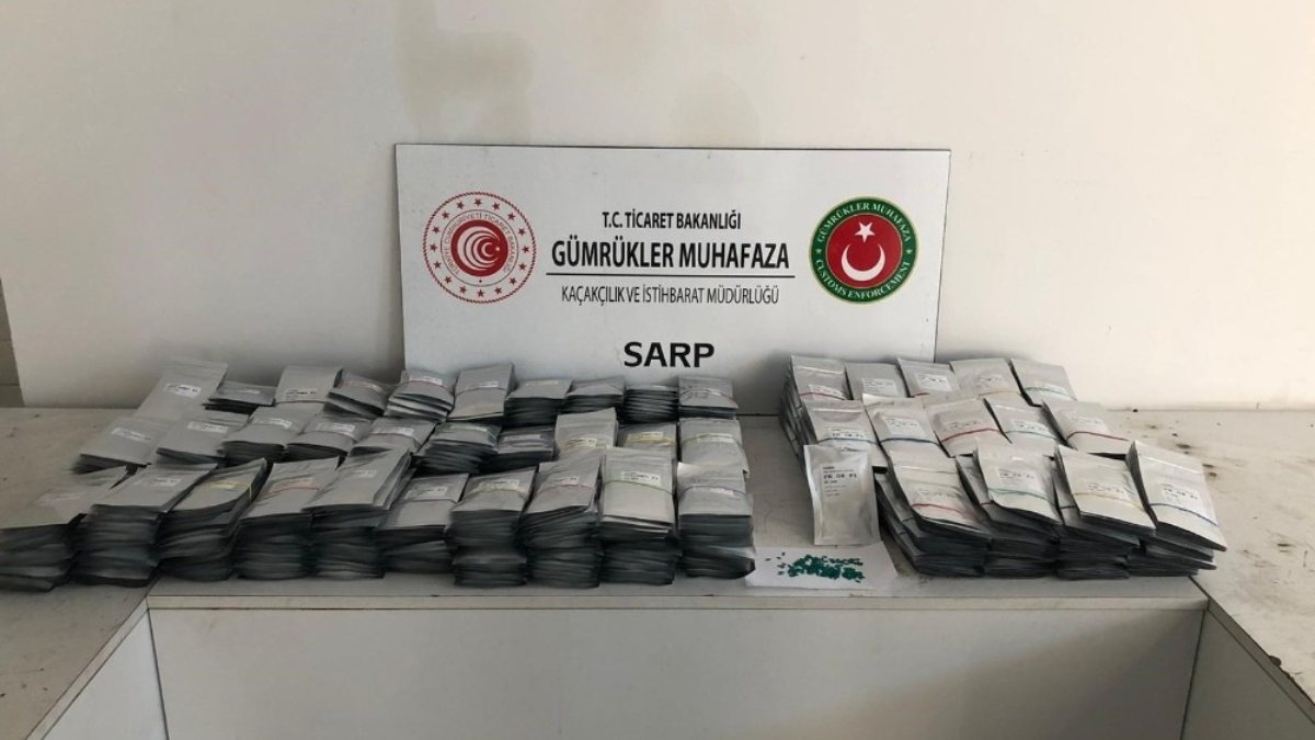 Sarp Sınır Kapısı’nda 771 bin 500 adet hibrit salatalık tohumu ele geçirildi