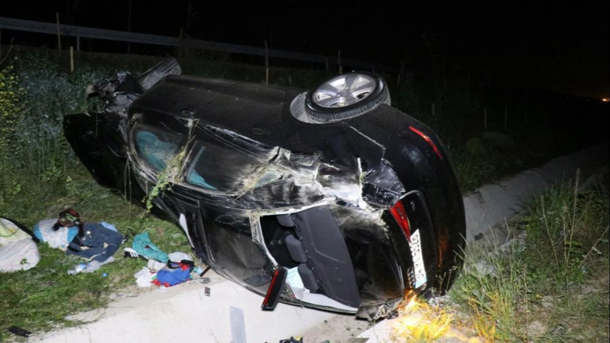 Sakarya'da domuza çarpan otomobil şarampole uçtu