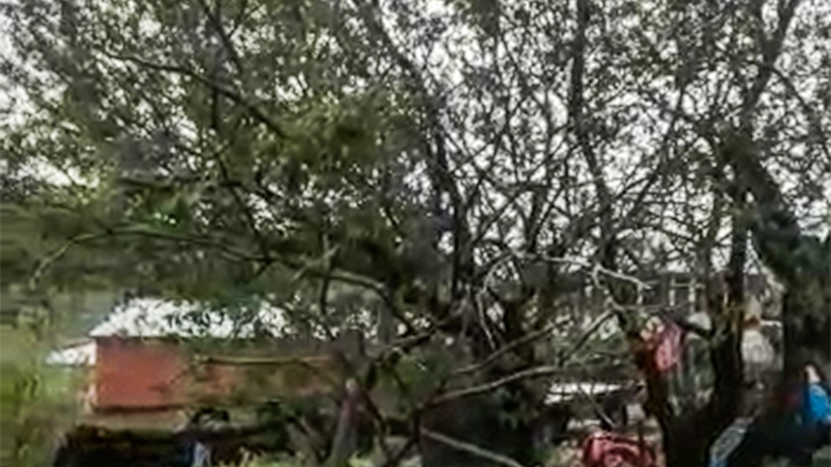 Ardahan'da dolu yağdı