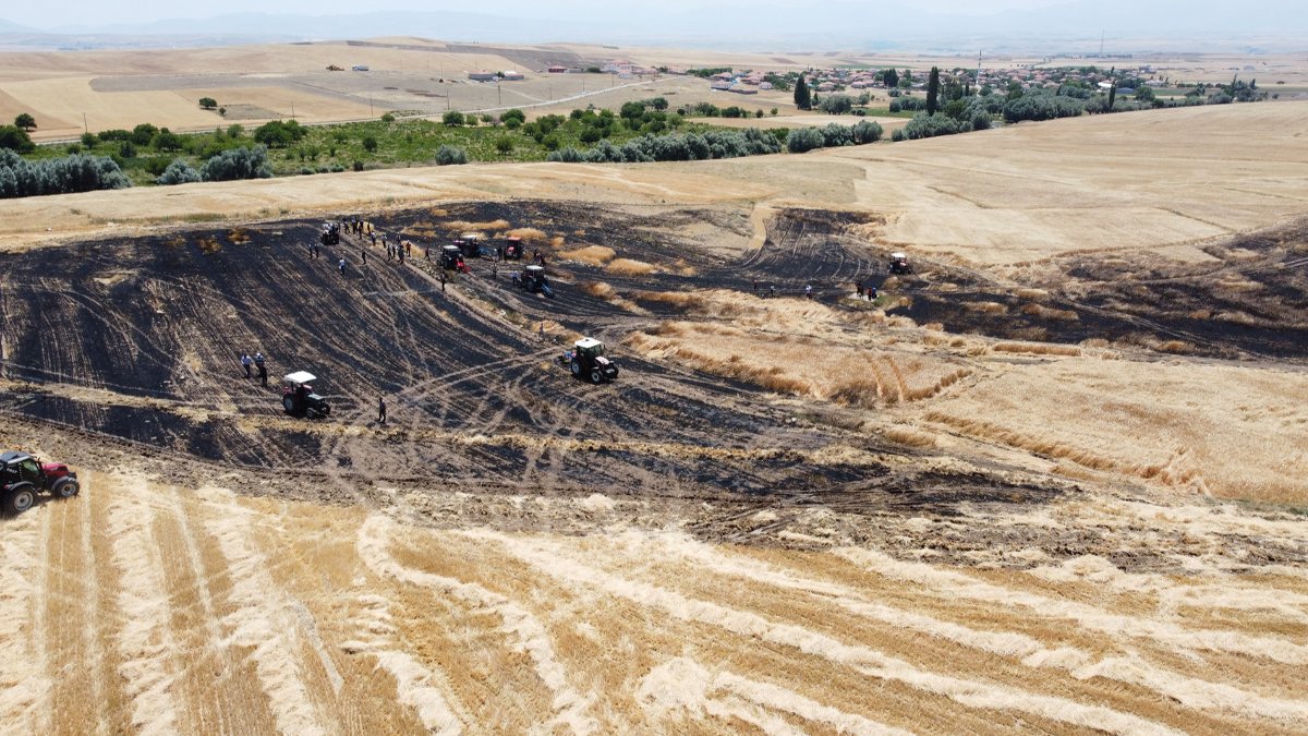 Aksaray'da arpa ekili alan yandı
