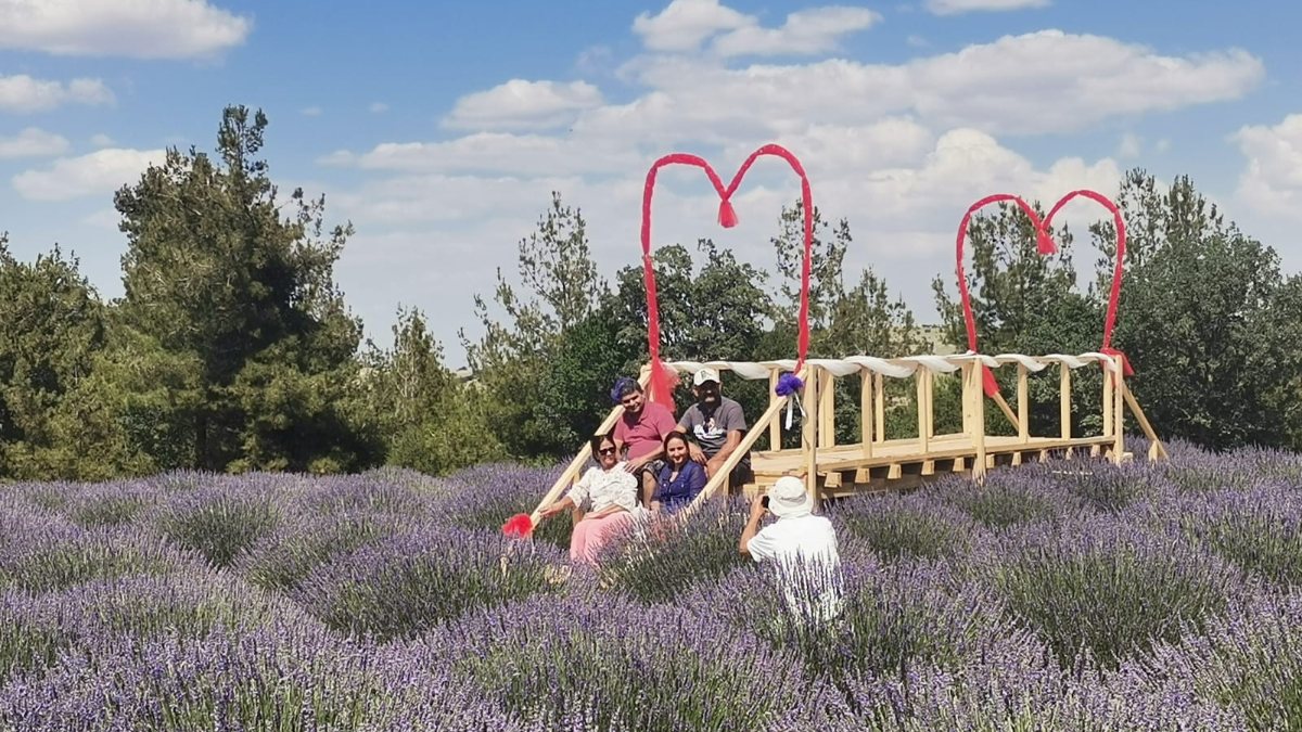 Denizli'deki 15 yıllık lavanta tarlası, turizme kazandırıldı