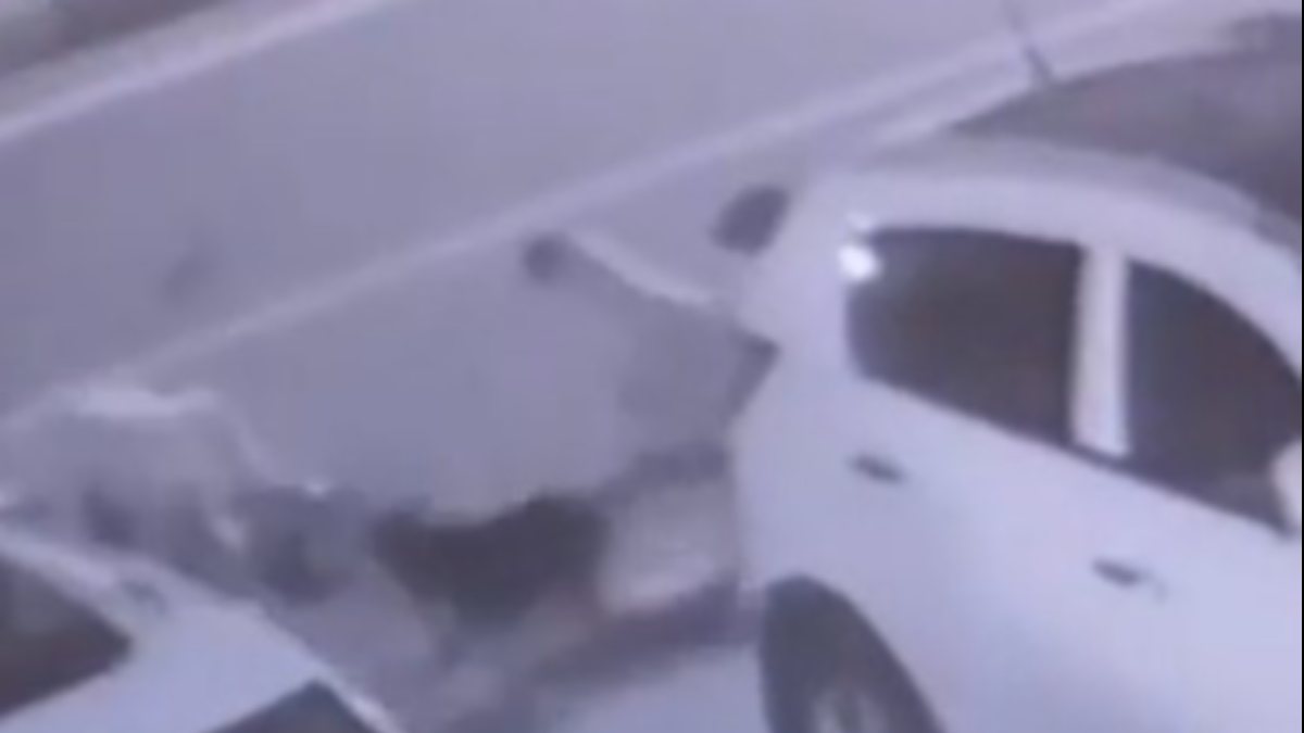Rize’de sokak köpeklerinin saldırdığı kadın ölümden döndü