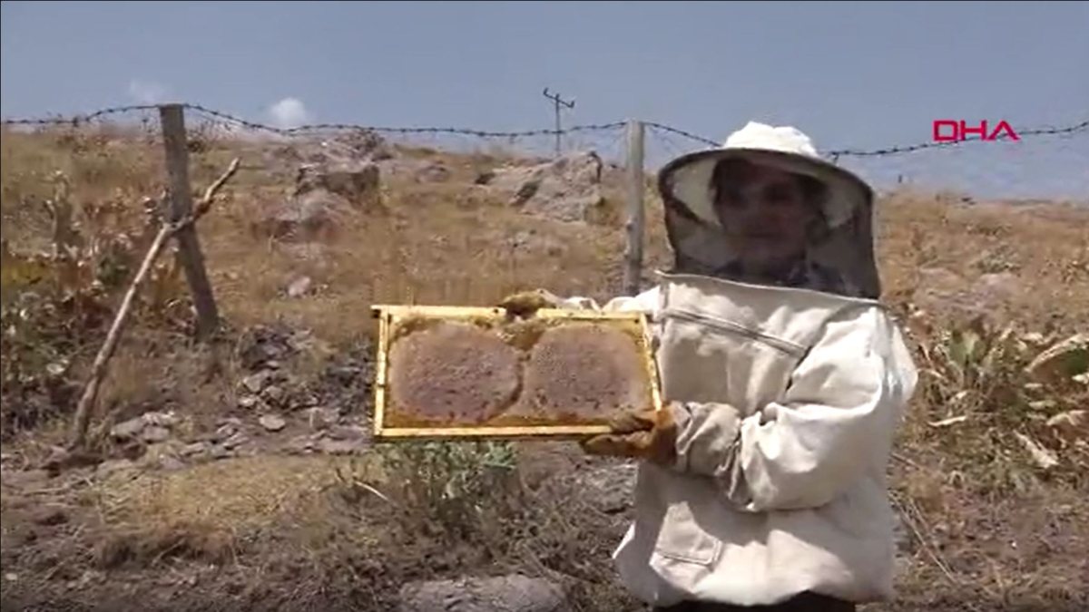 Hakkari’de, Genç Çiftçi Projesi ile arıcı oldu