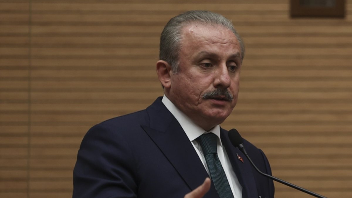 Mustafa Şentop: Türkiye tesir gücüne sahip bir ülke