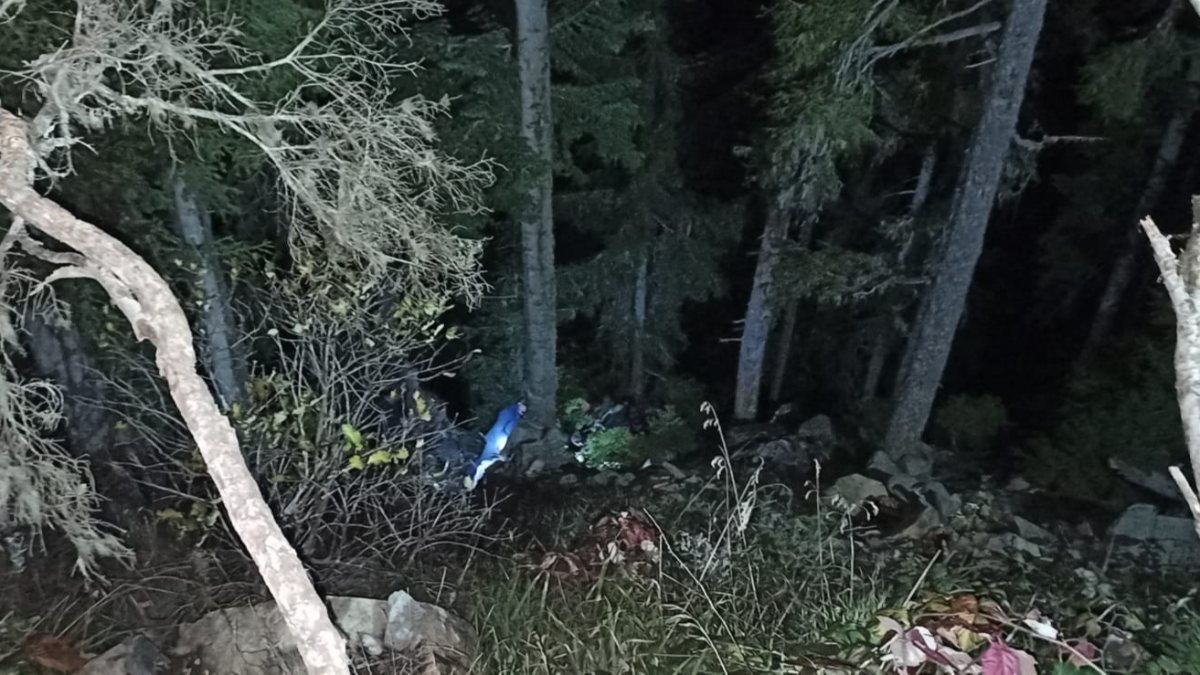 Artvin'de odun keserken uçuruma yuvarlandı