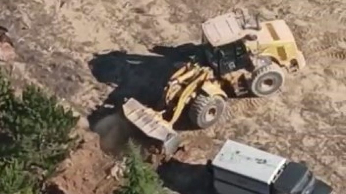 Konya’da, sokak köpeklerinin uyuşturucu ile uyutulup gömüldükleri iddia edildi