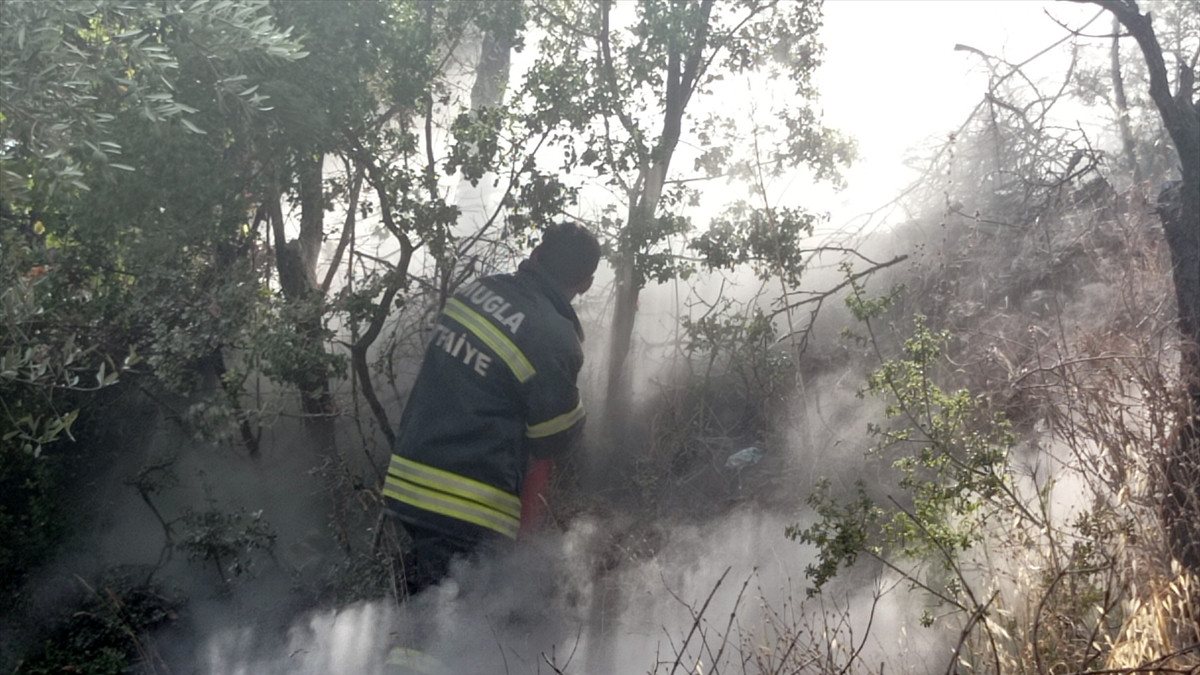 Muğla'da otluk alanda çıkan yangın söndürüldü
