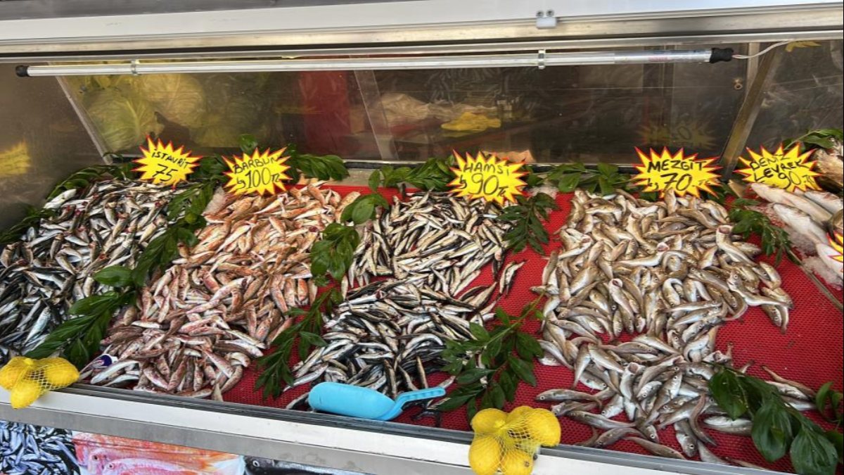 Düzce'de balıkçı tezgahlarında hamsi yok denecek kadar az