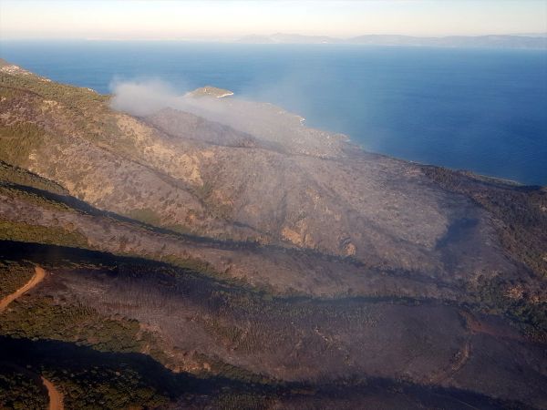 Muğla'da şüpheli orman yangını