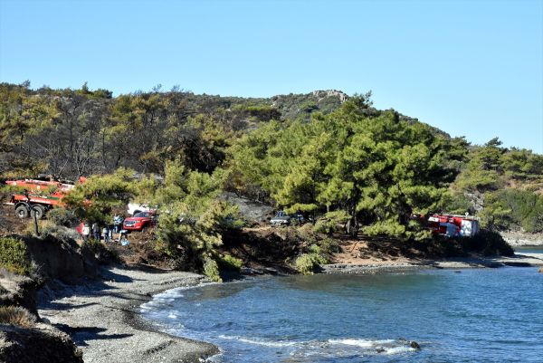 Muğla'da şüpheli orman yangını