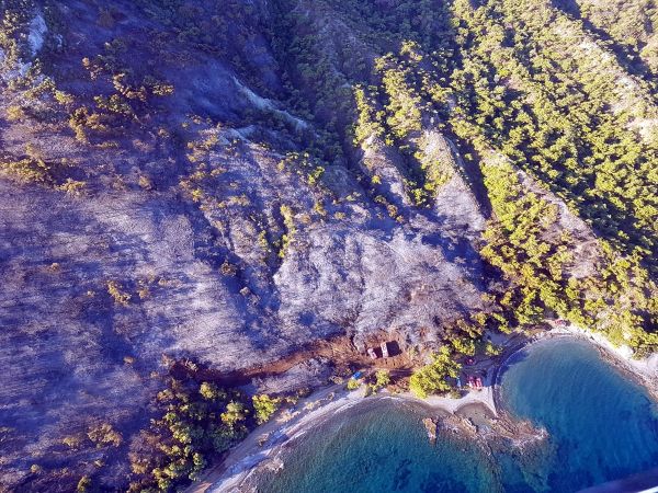 Muğla'da şüpheli orman yangını