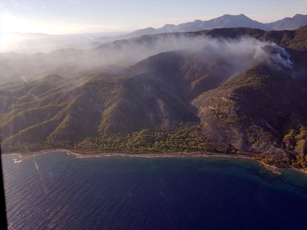 Muğla'da şüpheli orman yangını