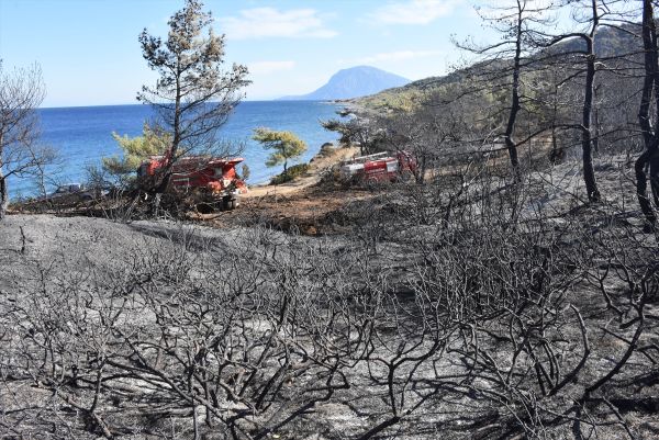 Muğla'da şüpheli orman yangını