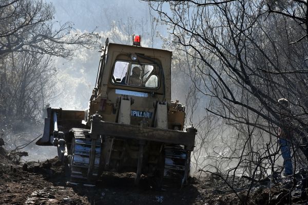 Muğla'da şüpheli orman yangını